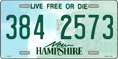 NH license plate 3842573