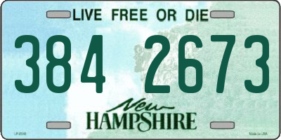 NH license plate 3842673