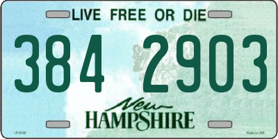 NH license plate 3842903