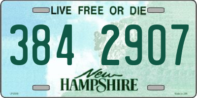 NH license plate 3842907