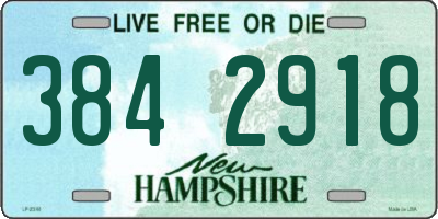NH license plate 3842918