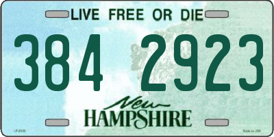 NH license plate 3842923