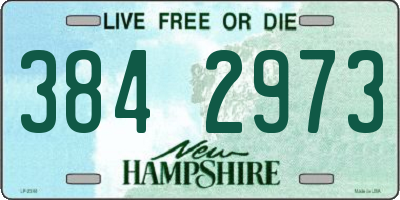 NH license plate 3842973