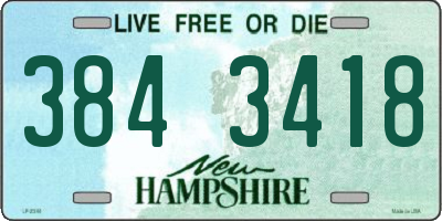 NH license plate 3843418
