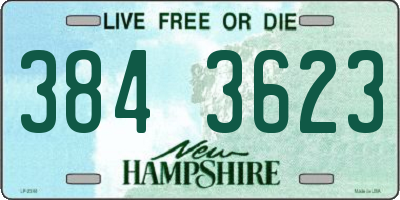 NH license plate 3843623