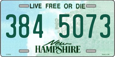 NH license plate 3845073