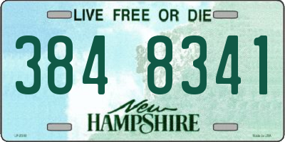 NH license plate 3848341