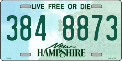 NH license plate 3848873