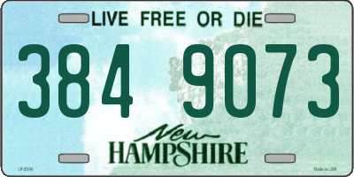 NH license plate 3849073