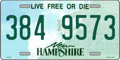 NH license plate 3849573