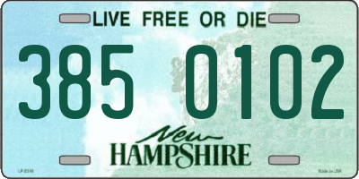 NH license plate 3850102