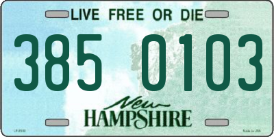 NH license plate 3850103