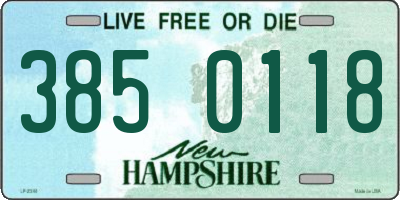 NH license plate 3850118