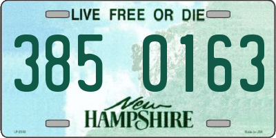 NH license plate 3850163