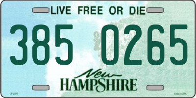 NH license plate 3850265