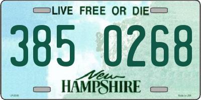 NH license plate 3850268