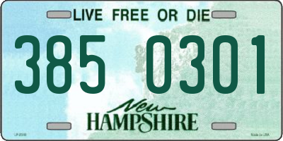 NH license plate 3850301