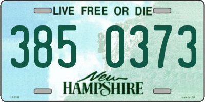 NH license plate 3850373