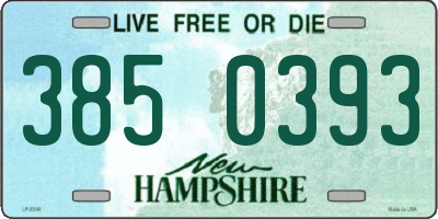 NH license plate 3850393