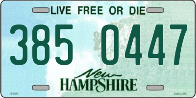 NH license plate 3850447