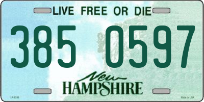 NH license plate 3850597