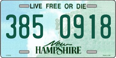 NH license plate 3850918