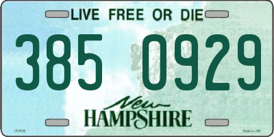 NH license plate 3850929