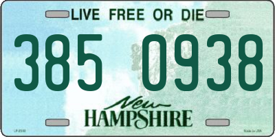 NH license plate 3850938