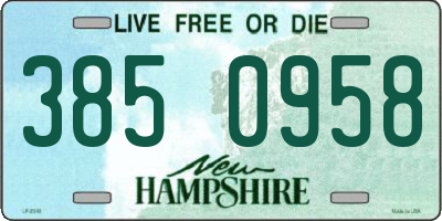 NH license plate 3850958