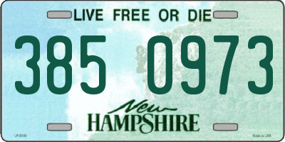 NH license plate 3850973