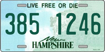 NH license plate 3851246