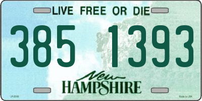 NH license plate 3851393