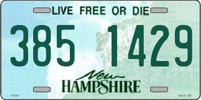 NH license plate 3851429