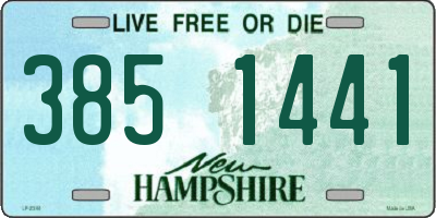 NH license plate 3851441