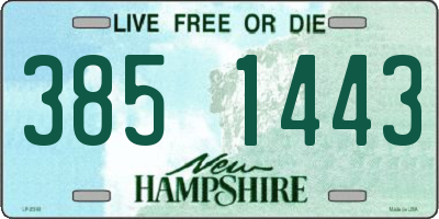 NH license plate 3851443