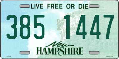 NH license plate 3851447