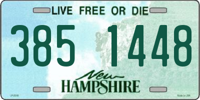 NH license plate 3851448