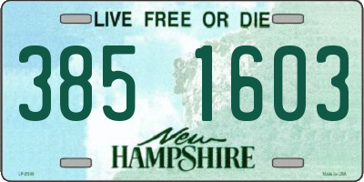 NH license plate 3851603