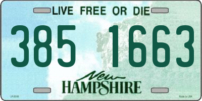 NH license plate 3851663