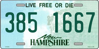NH license plate 3851667