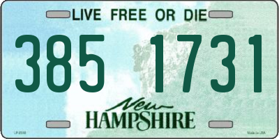 NH license plate 3851731