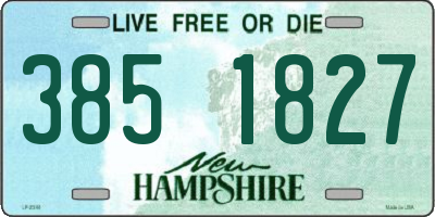 NH license plate 3851827