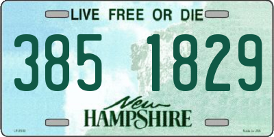 NH license plate 3851829