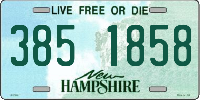 NH license plate 3851858