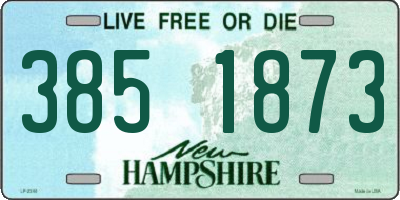 NH license plate 3851873