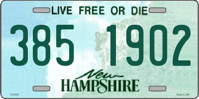 NH license plate 3851902