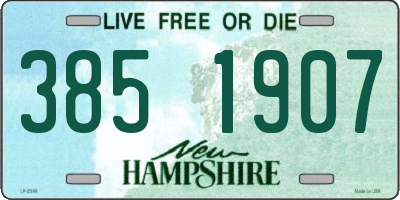 NH license plate 3851907