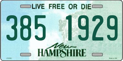 NH license plate 3851929