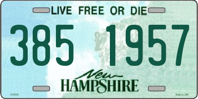 NH license plate 3851957