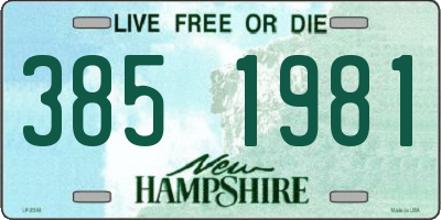 NH license plate 3851981